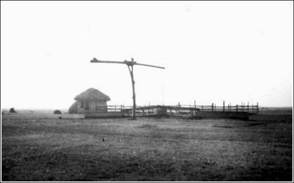 Csordakút a legelőn 1935