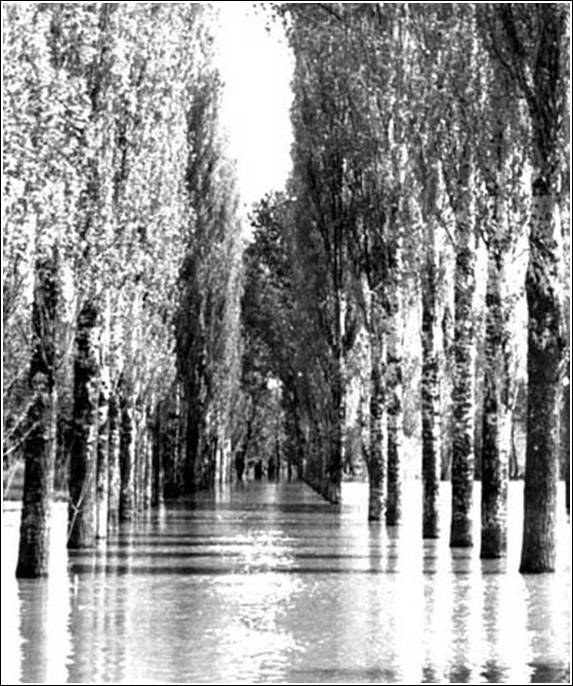 Víz alatt a sétány 1931